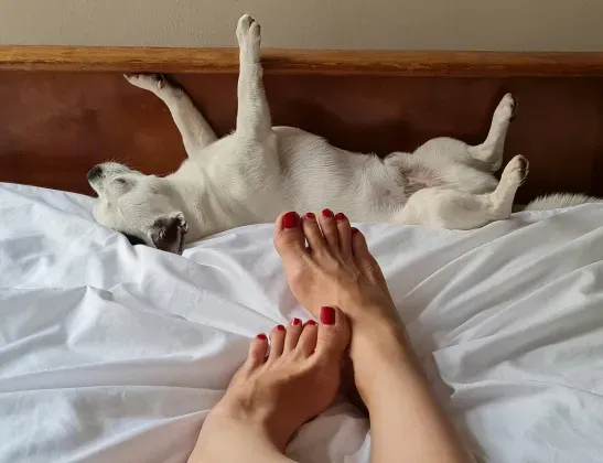 547x420-disrupt-sleep-03